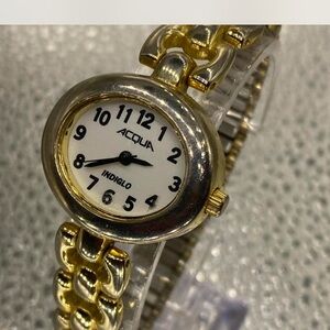Acqua / Timex ^^^ Goldtone Hardwear \ LuXXX “” Watch